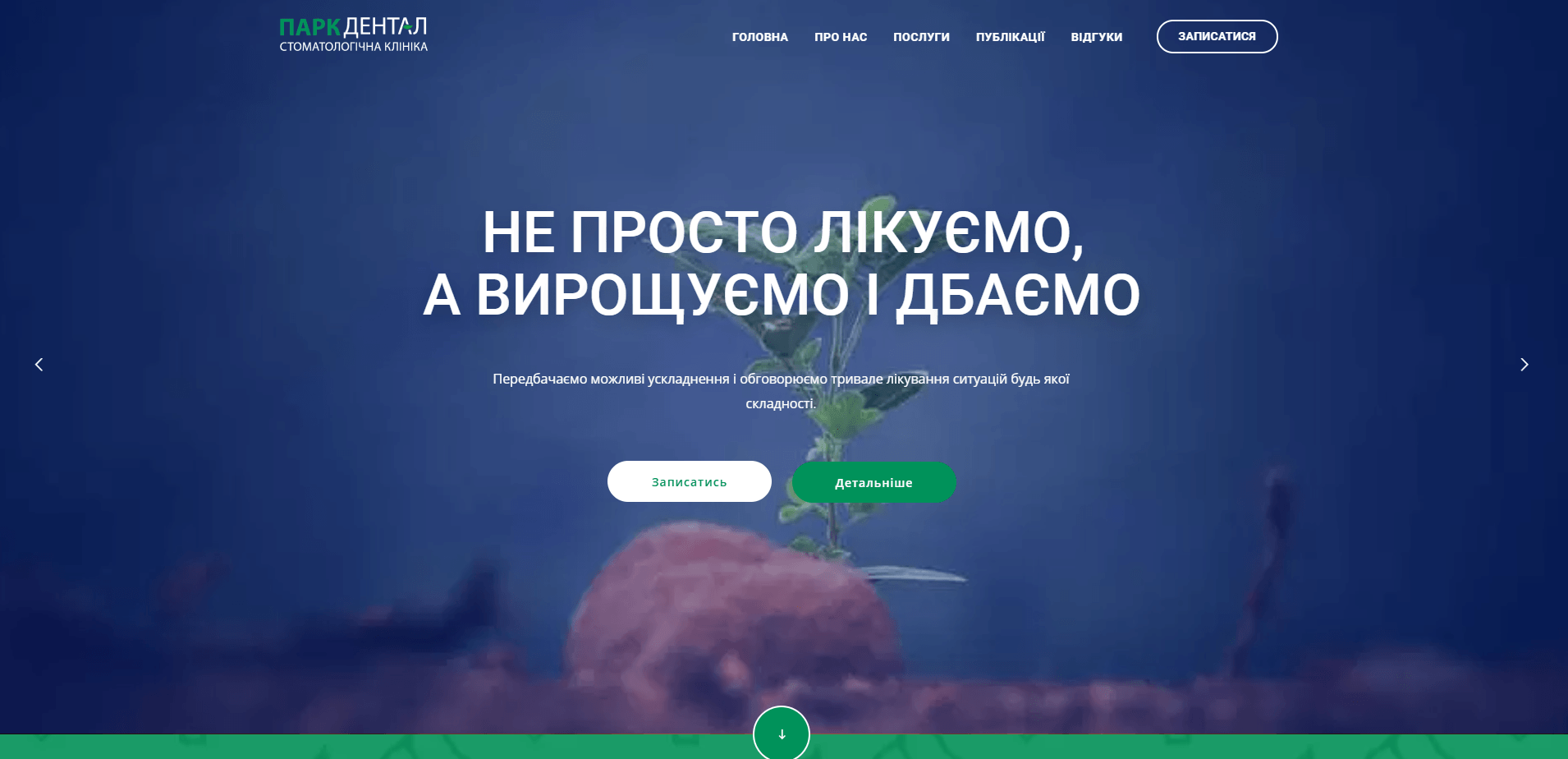 Корпоративний сайт ParkDental Ukraine - Ярослав Козак - веб-розробник та бізнес-консультант
